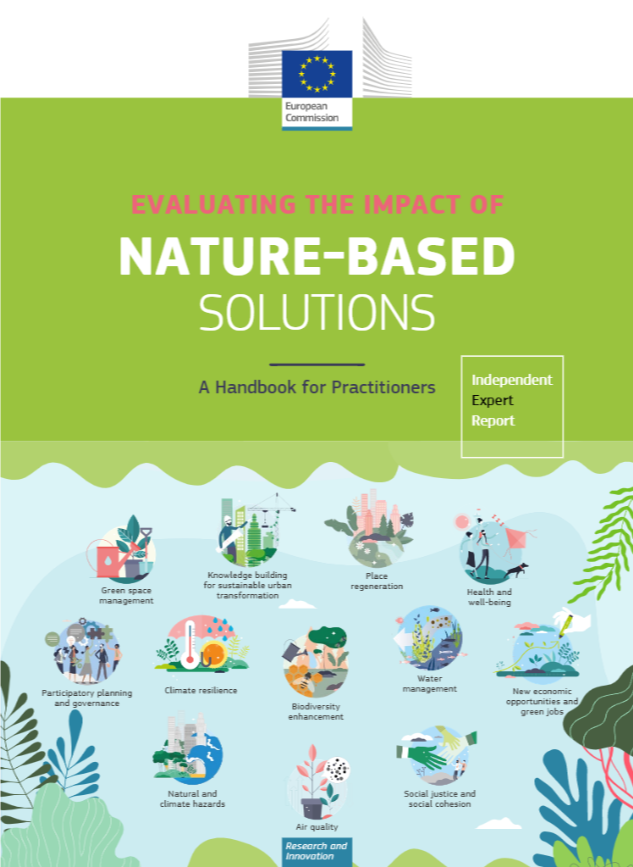 Evaluating the impact of Nature-based Solutions