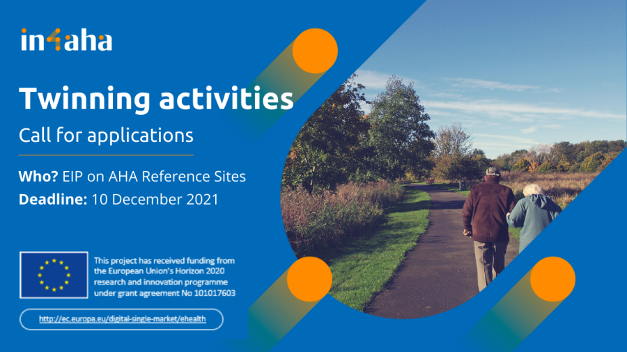 white text on blue background: Twinning activities, call for applications. On the right a photo of an elderly couple walking in nature. 