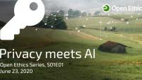 Privacy meets AI title image