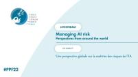 Managing AI risk: perspectives from around the world