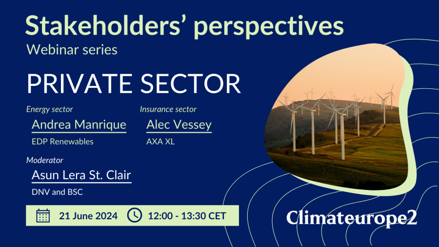 Stakeholders' perspectives webinar: Private sector