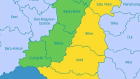 Romanian - Hungarian Border colored green on one side and yellow on the other