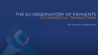 EU Payment Observatory 